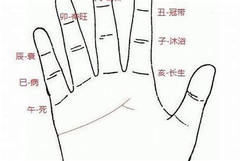 乙木人|“甲木人”、“乙木人”到底有何区别？看完这篇通俗易懂、幽默风趣。